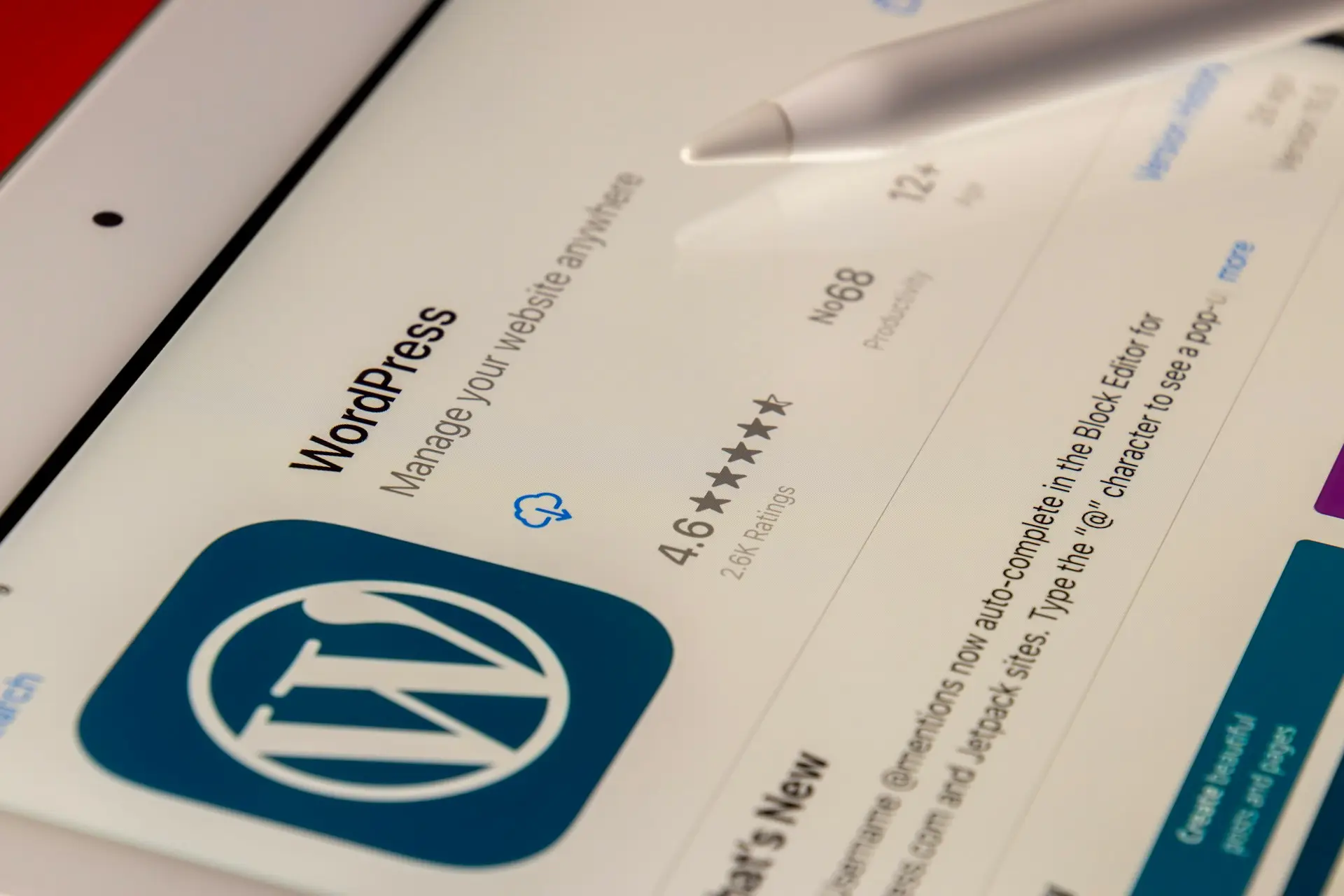 WordPress: perché è il CMS perfetto per il tuo sito web (e perché affidarti a un esperto)